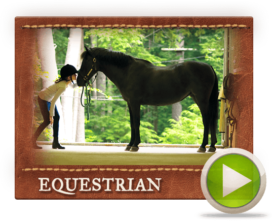 Equestrian Film